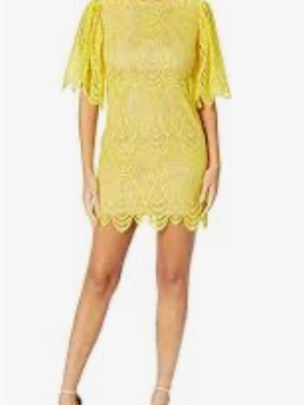 Dress the Population Toni Lace Scalloped Mini Dress in Yellow